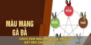 Cách Xem Màu Mạng Gà Đá Giúp Đặt Kèo Chuẩn Như Sư Kê