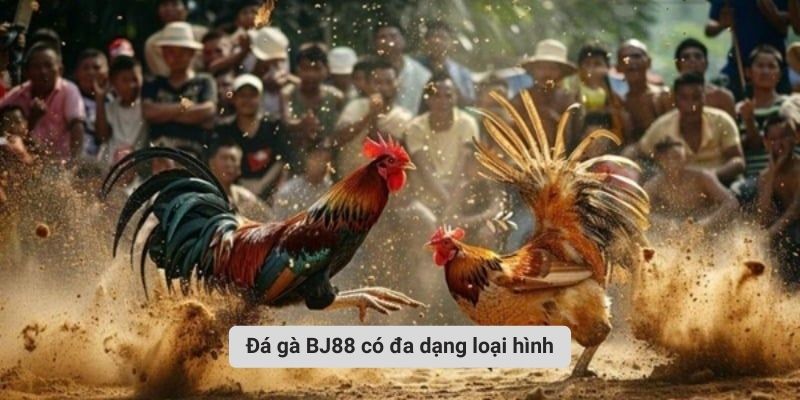 Đá gà BJ88 có đa dạng loại hình