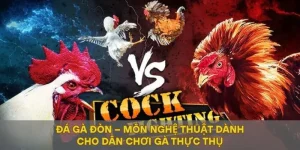 Đá Gà Đòn – Môn Nghệ Thuật Dành Cho Dân Chơi Gà Thực Thụ