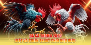 Đá Gà Thomo 2025 - Luật Và Chiến Thuật Chơi Hữu Hiệu