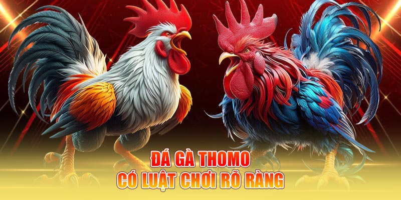 Đá gà Thomo có luật chơi rõ ràng