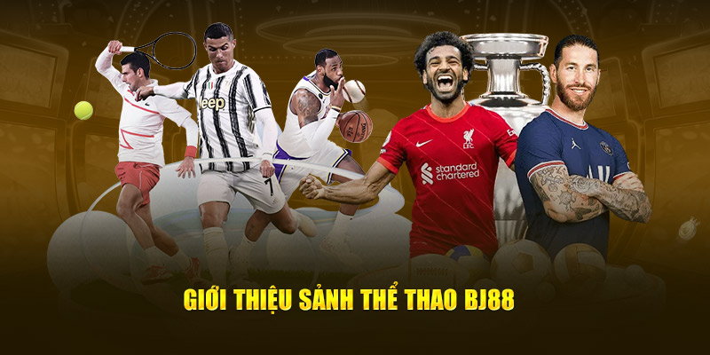 Sảnh cược thể thao BJ88 có nhiều giải đấu