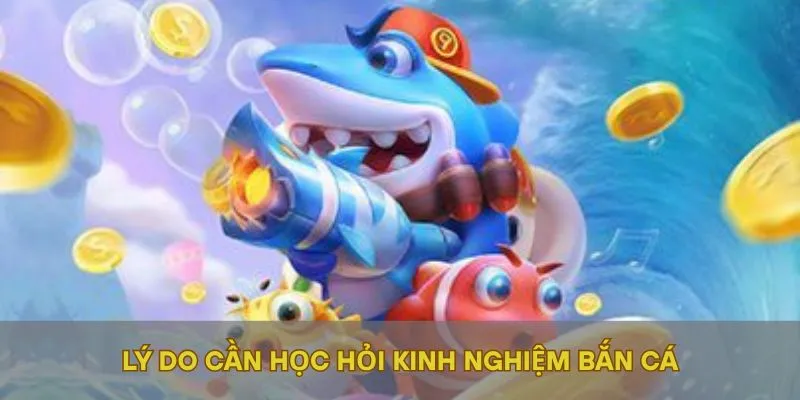 Lý do cần học hỏi kinh nghiệm bắn cá