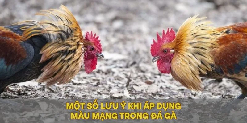 Một số lưu ý khi áp dụng màu mạng trong đá